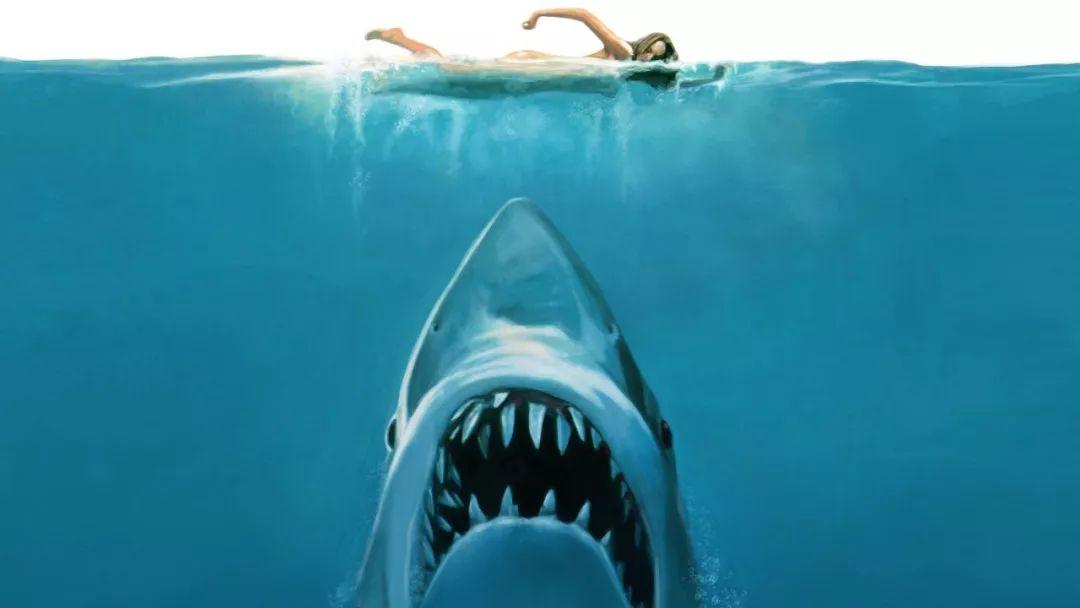 灾难电影《大白鲨》解说文案
