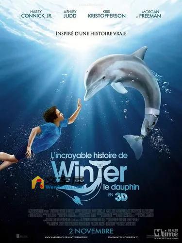 《海豚的故事》电影解说文案