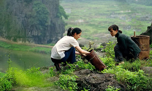 电影《植物学家的中国女孩》解说文案